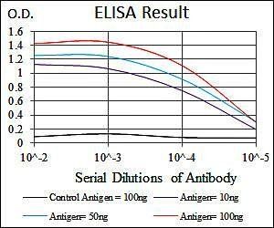 MSN Antibody