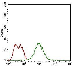 Bpifa2 Antibody