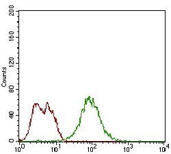 Bpifa2 Antibody