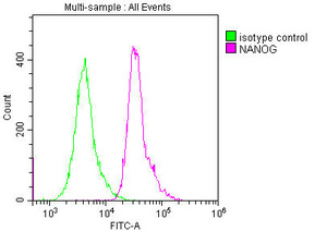 NANOG Monoclonal Antibody
