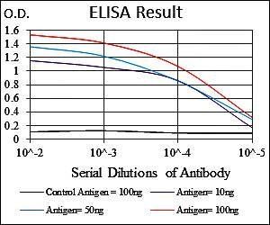 NEDD8 Antibody