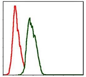 NEDD8 Antibody