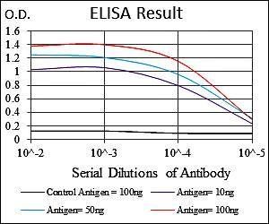 NEDD8 Antibody