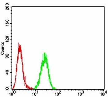 Neuropilin-1 Antibody