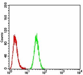 NFKBIA Antibody