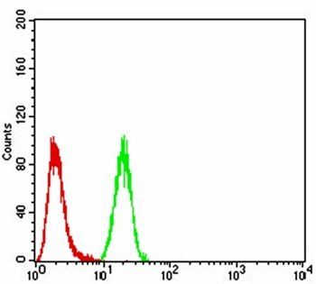 NFKBIA Antibody