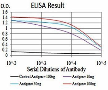 NOS1 Antibody