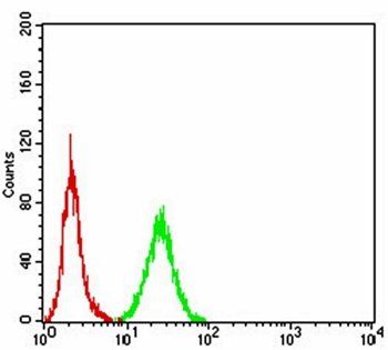 NOS1 Antibody