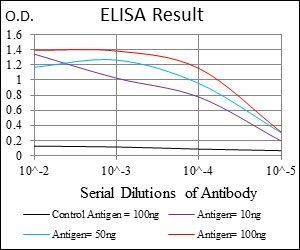 NPC1 Antibody