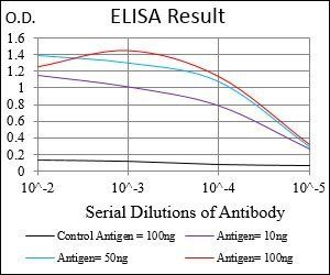 NT5E Antibody