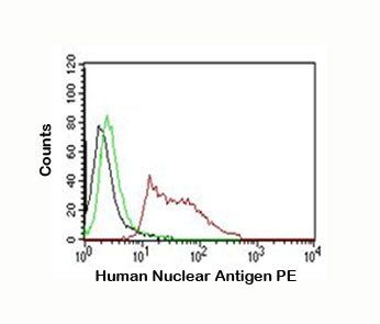 Human Nuclear Antigen antibody (PE)