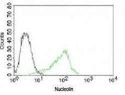 Nucleolin Antibody