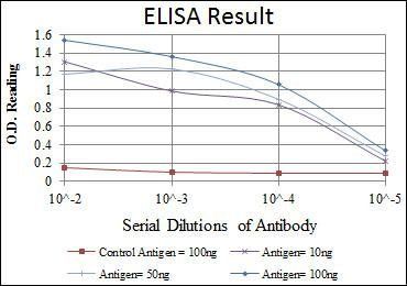 OLIG2 Antibody