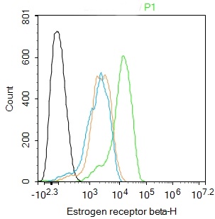 Estrogen Recepter beta antibody