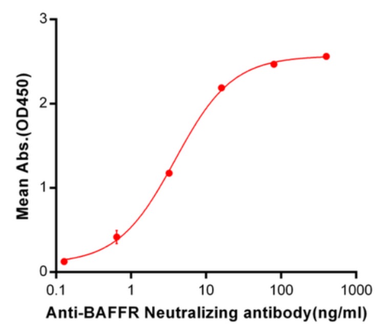 BAFF-R Antibody