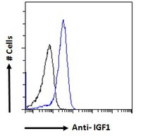Goat anti-IGF1 Antibody
