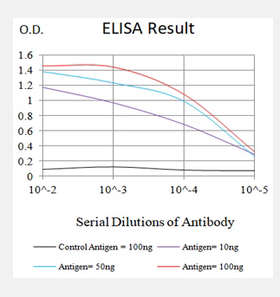CCR10 Antibody