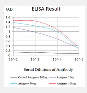 CCR10 antibody