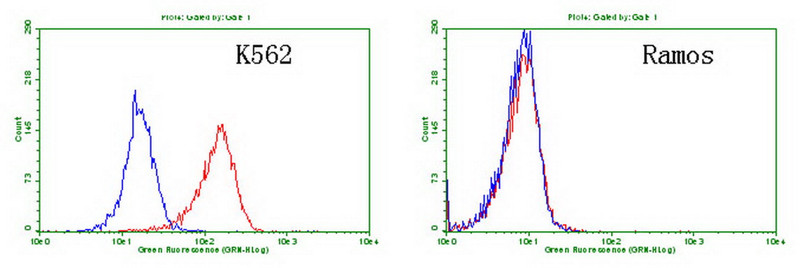 CD30 Antibody