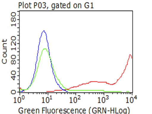 CD5 Antibody