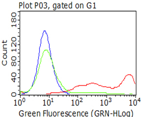 CD5 Antibody