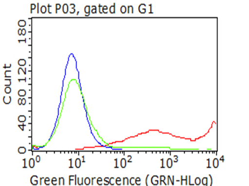 CD5 Antibody