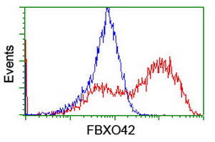 FBXO42 Antibody