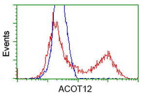 ACOT12 Antibody