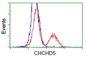 CHCHD5 Antibody