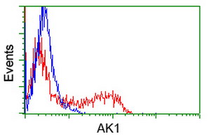 AK1 Antibody