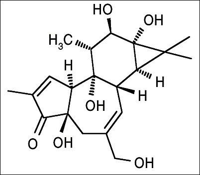 Phorbol