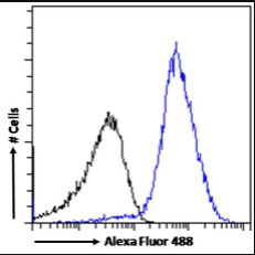 CD274 antibody