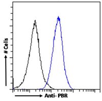 Goat anti-PBR (mouse) Antibody