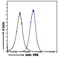 Tspo antibody