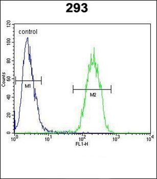 TNFRSF6B antibody
