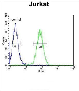 CLDN22 antibody