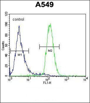 LILRA2 antibody
