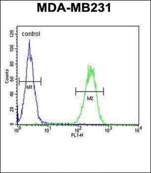 PRSS3 antibody