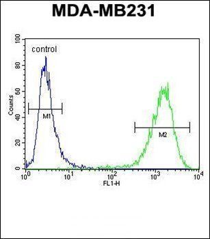 CF150 antibody