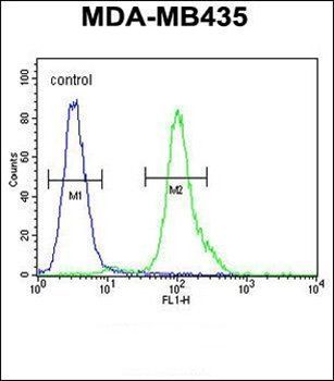 MYCT1 antibody