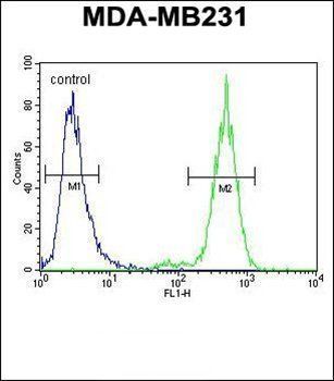 TTC16 antibody