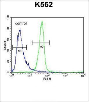 ANR52 antibody