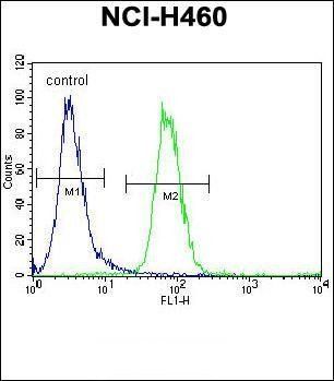 FX4L1 antibody