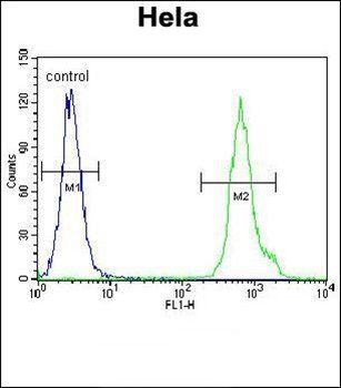 LRRC45 antibody
