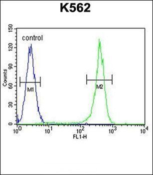 CRFR2 antibody