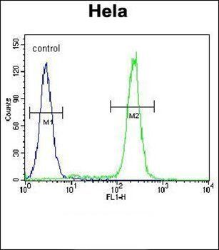 JHDM2b antibody