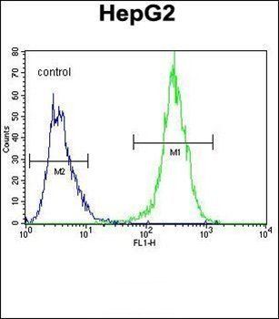 MRFAP1L1 antibody