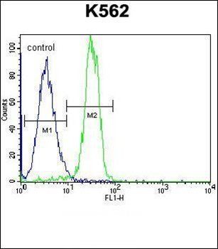 STARD6 antibody