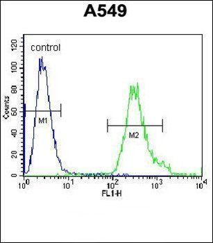 ANKRD58 antibody