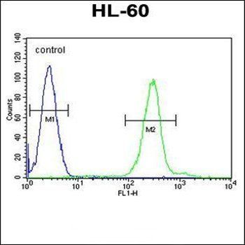 PLA2G2C antibody